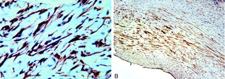 Fig 5.