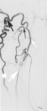 Fig 2.