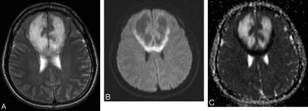 Fig 1.