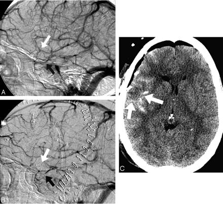 Fig 6.