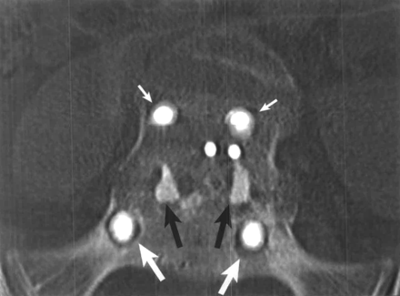 Fig 5.
