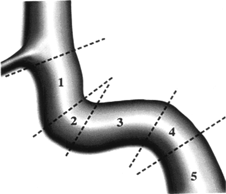 Fig 1.