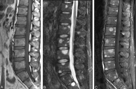 Fig 6.