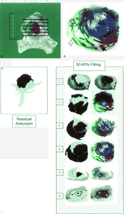 Fig 2.