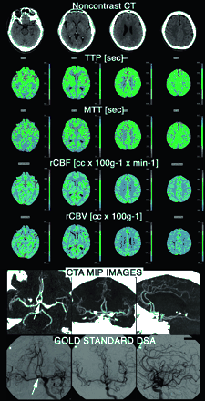 Fig 2.
