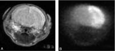 Fig 2.