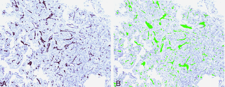 Fig 7.