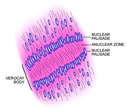 Fig 2.