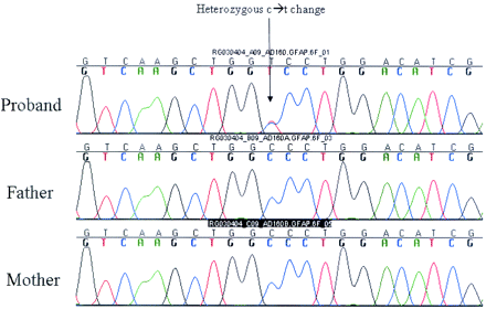 Fig 2.