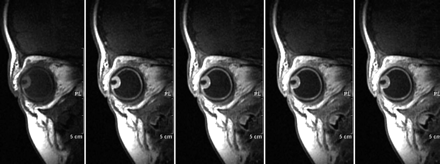 Fig 3.