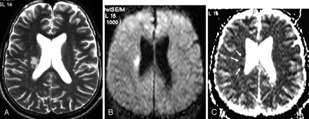 Fig 1.