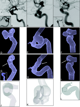 Fig 1.