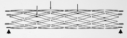 Fig 1.