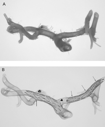 Fig 8.