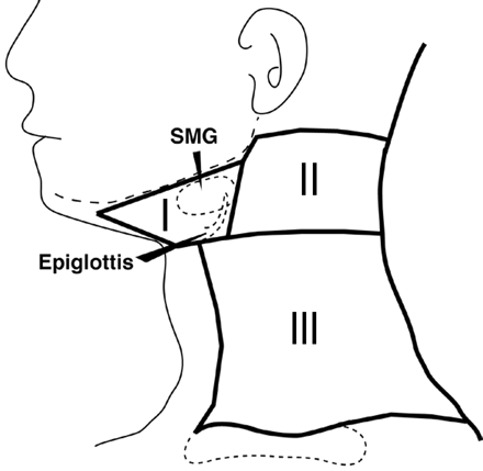 Fig 1.