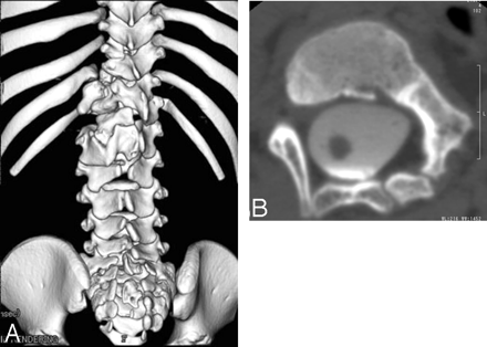 Fig 1.