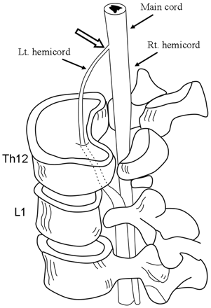 Fig 4.