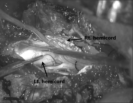 Fig 5.