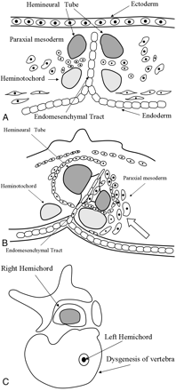 Fig 6.