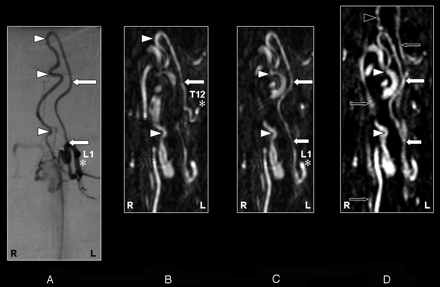 Fig 6.