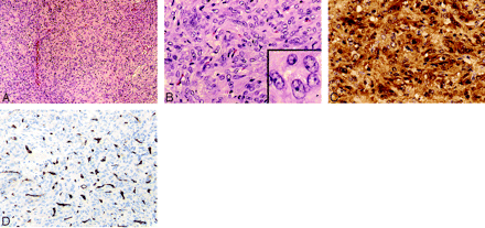 Fig 3.