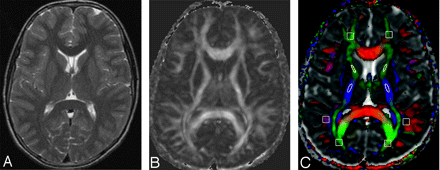Fig 1.