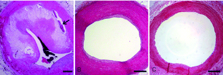 Fig 2.