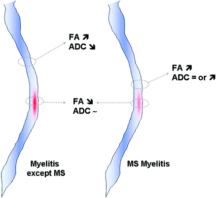 Fig 2.