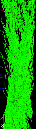 Fig 3.