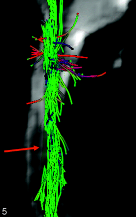 Fig 5.