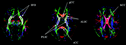 Fig 1.