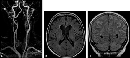 Fig 1.