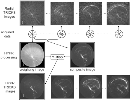 Fig 1.