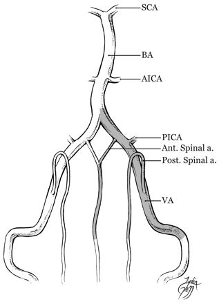 Fig 4.