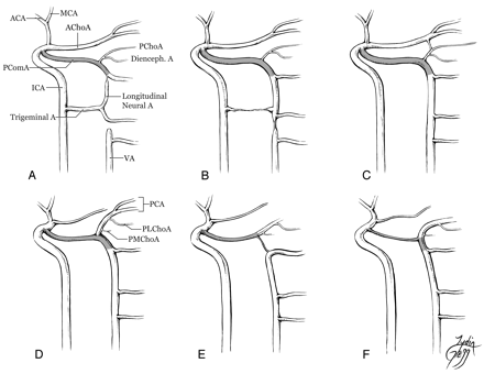 Fig 5.