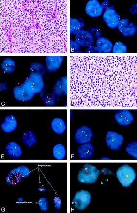 Fig 3.