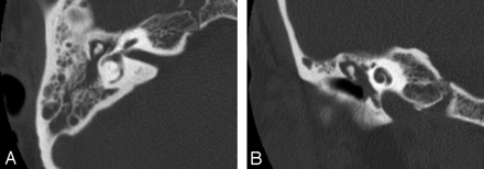 Fig 1.