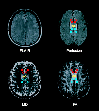 Fig 1.