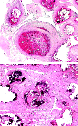 Fig 4.