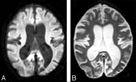 Fig 1.