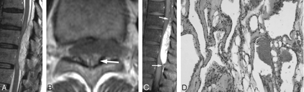Fig 3.