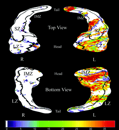 Fig 4.