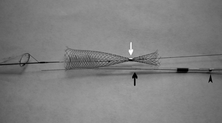 Fig 2.