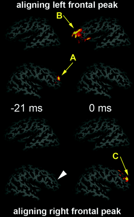 Fig 3.