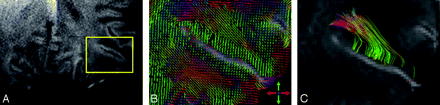 Fig 2.