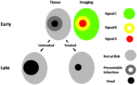 Fig 3.