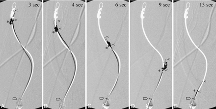 Fig 3.