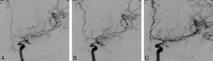 Fig 1.