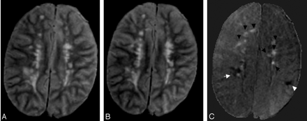 Fig 1.