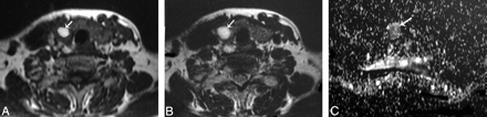 Fig 5.